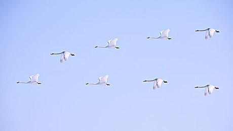 仅售149元！76%好评《赛博朋克2077》Steam限时半价促销